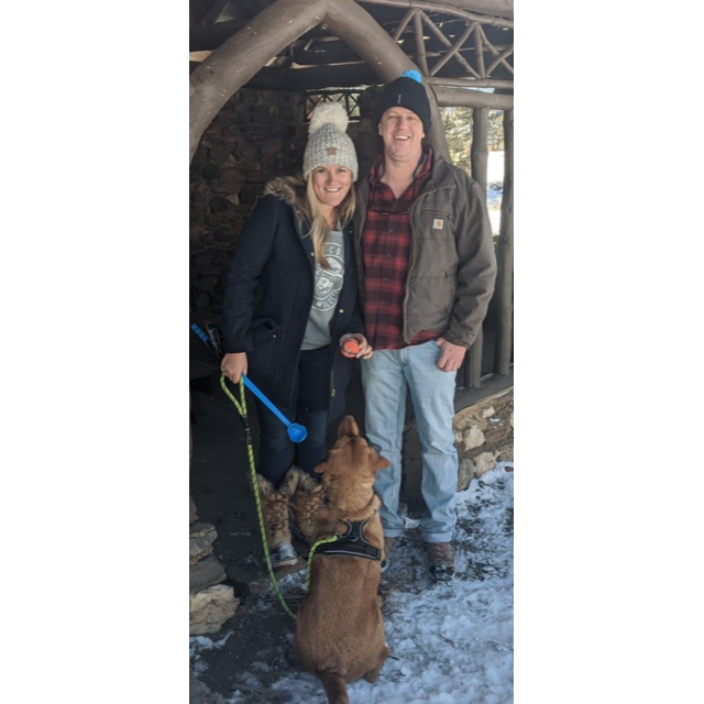 Snowy walk in Evergreen with tennis ball obsessed, Gus