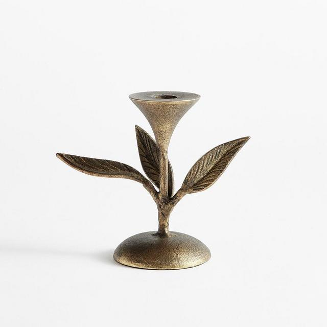 Botanical Taper Holder, Small, 5" - Brass