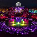 Atlanta Botanical Garden