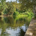 One Mile | Lower Bidwell Park