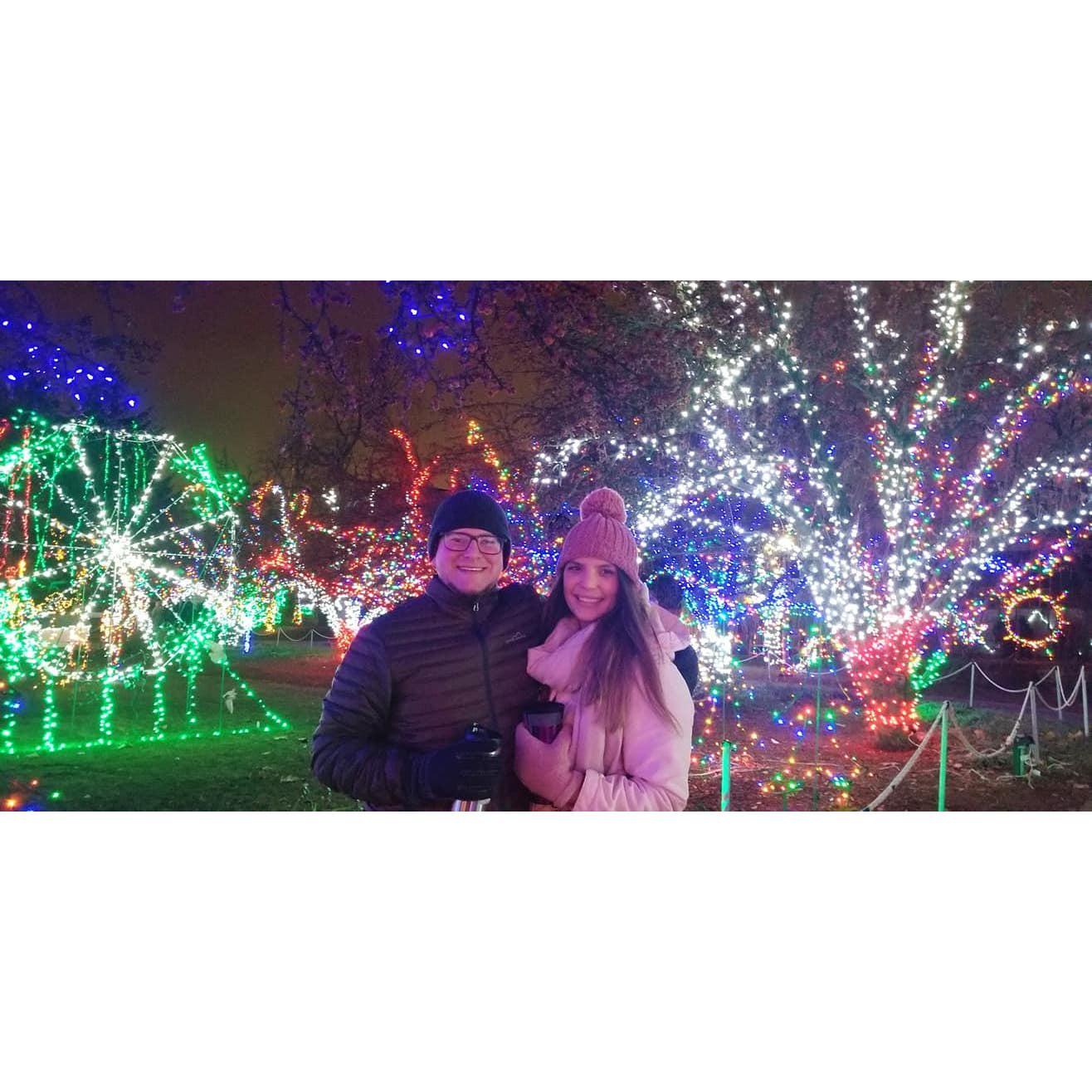 Christmas Lights Walk