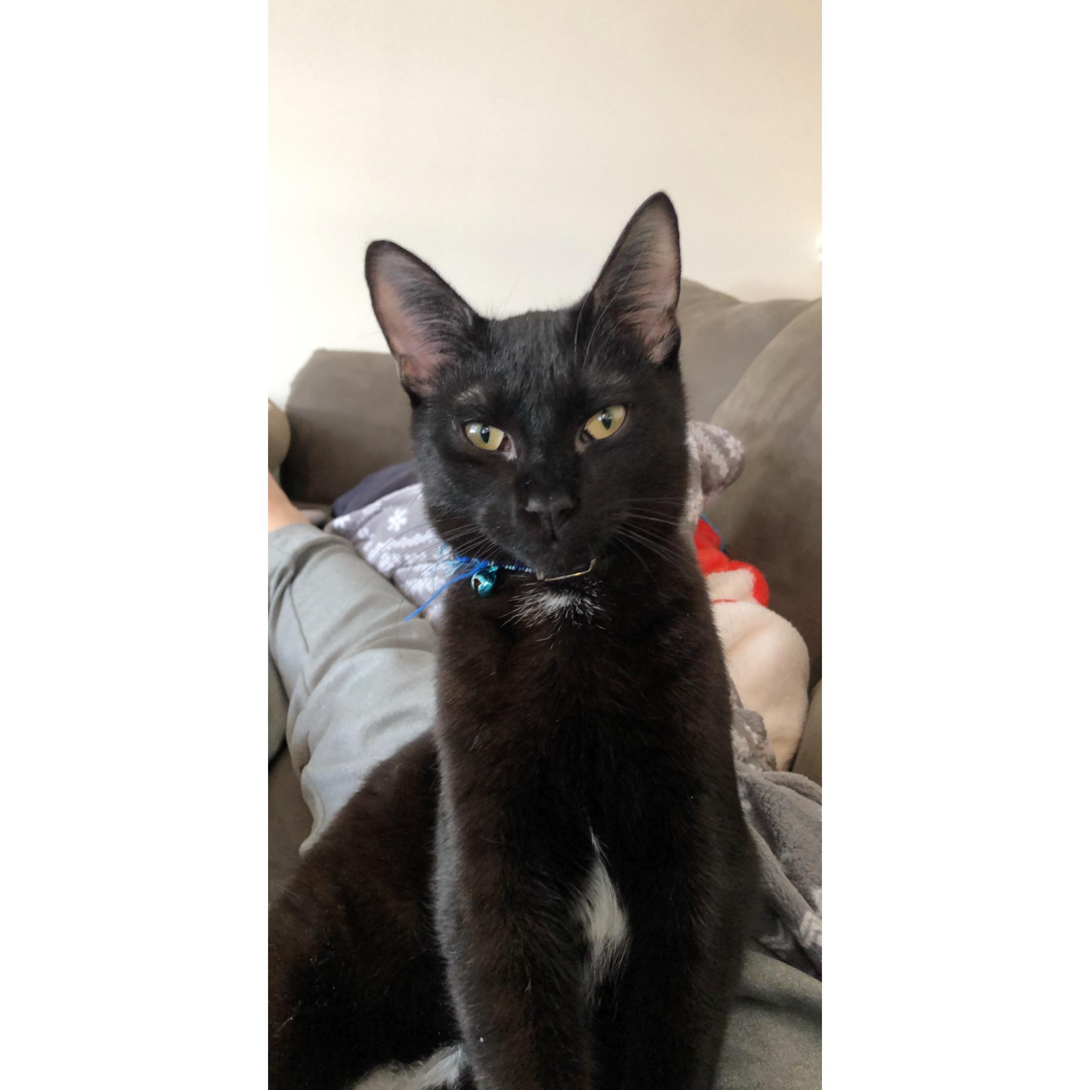 Our Boy Max