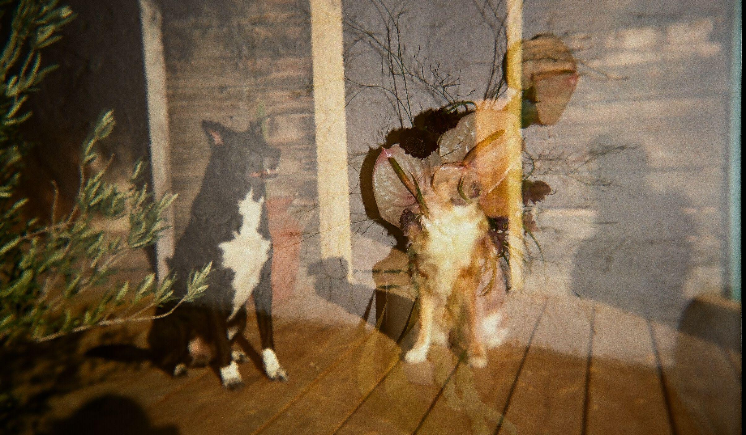 Footer image