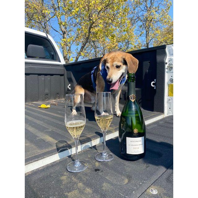 Abby said "I Do!" at Shawnee Mission Park, their favorite place to walk their dog, Mike. Isaac made sure that Mike was there to celebrate!