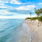 Honeymoon Island State Park