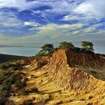 Torrey Pines State Natural Reserve