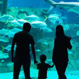 North Carolina Aquarium Membership
