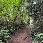 Wetland Plateau Trail