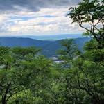 Mount Jefferson State Natural Area