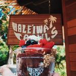 Haleʻiwa Bowls