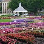 CSU Annual Flower Trial Gardens