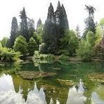 Laurelhurst Park