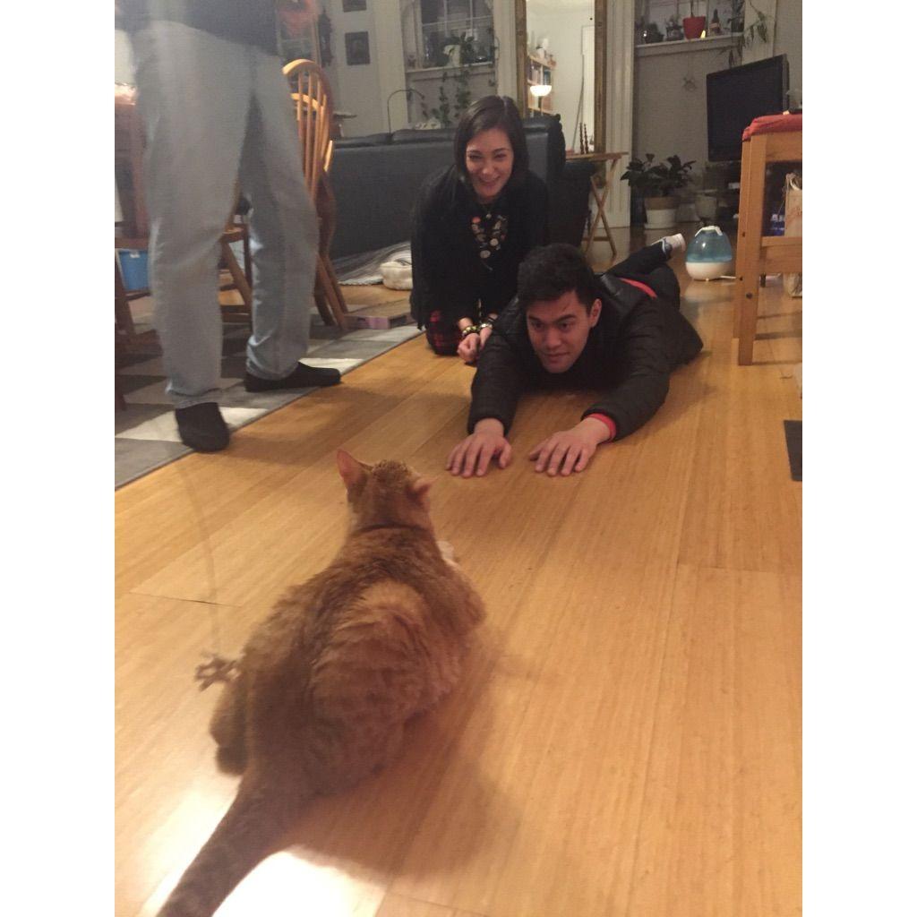 Adopting Chester (2019)