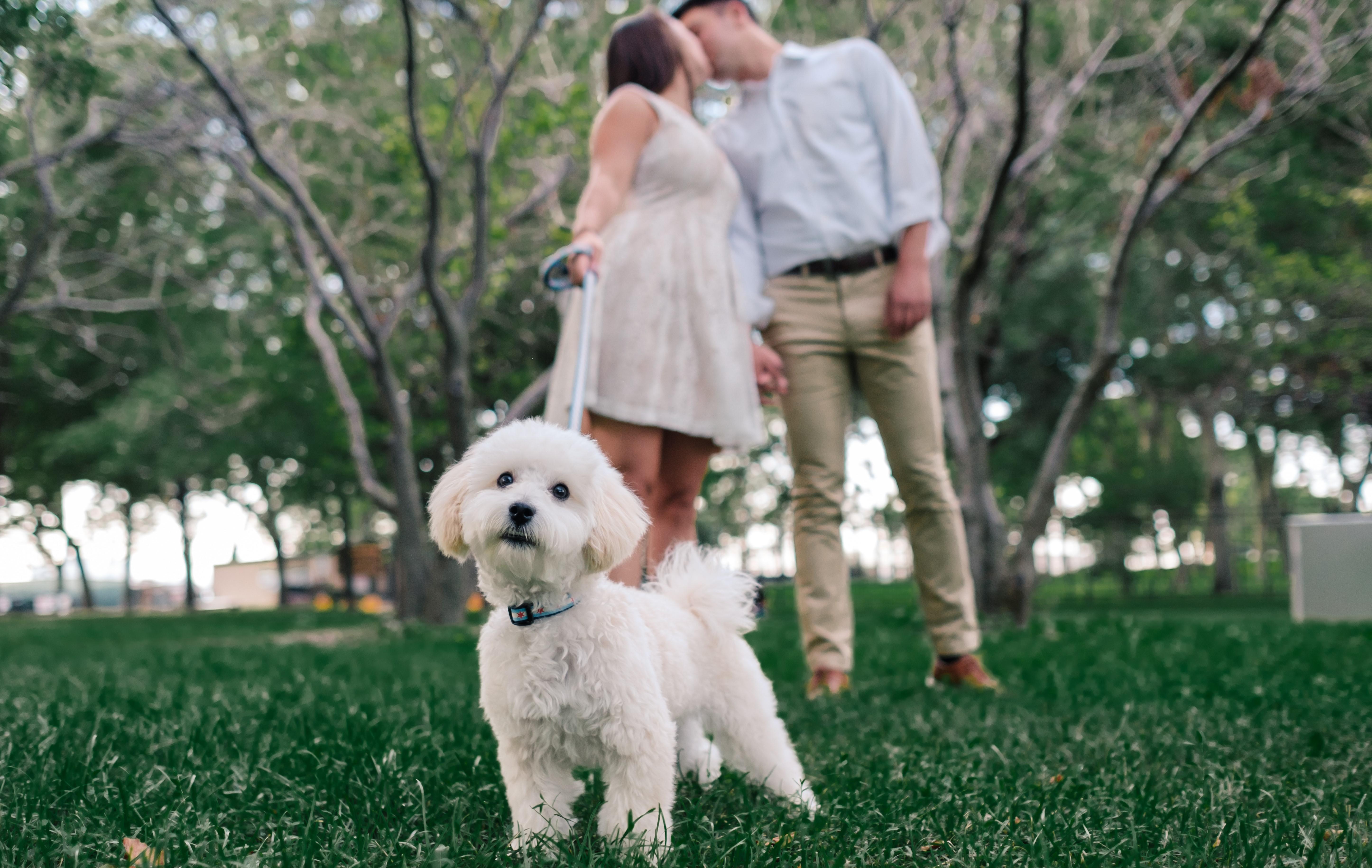 The Wedding Website of Jacquelyn Cruz and Daniel Rubin