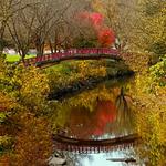 Laura Bradley Park