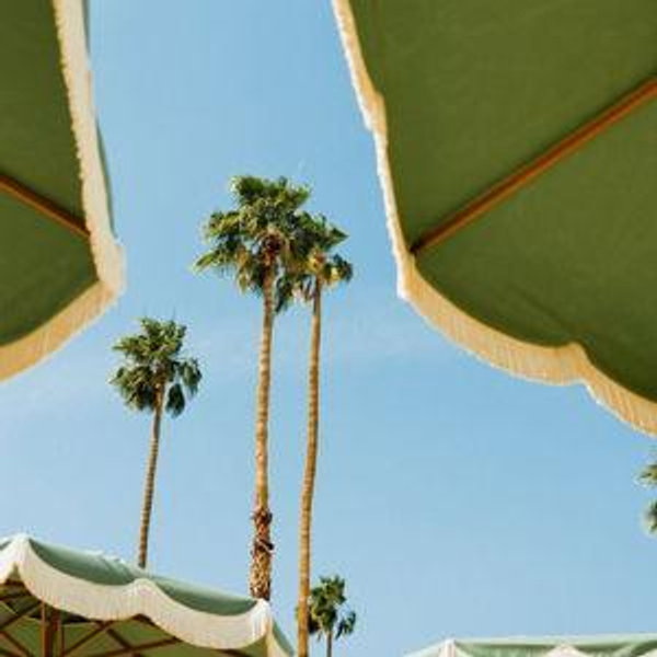 Honeymoon Fund