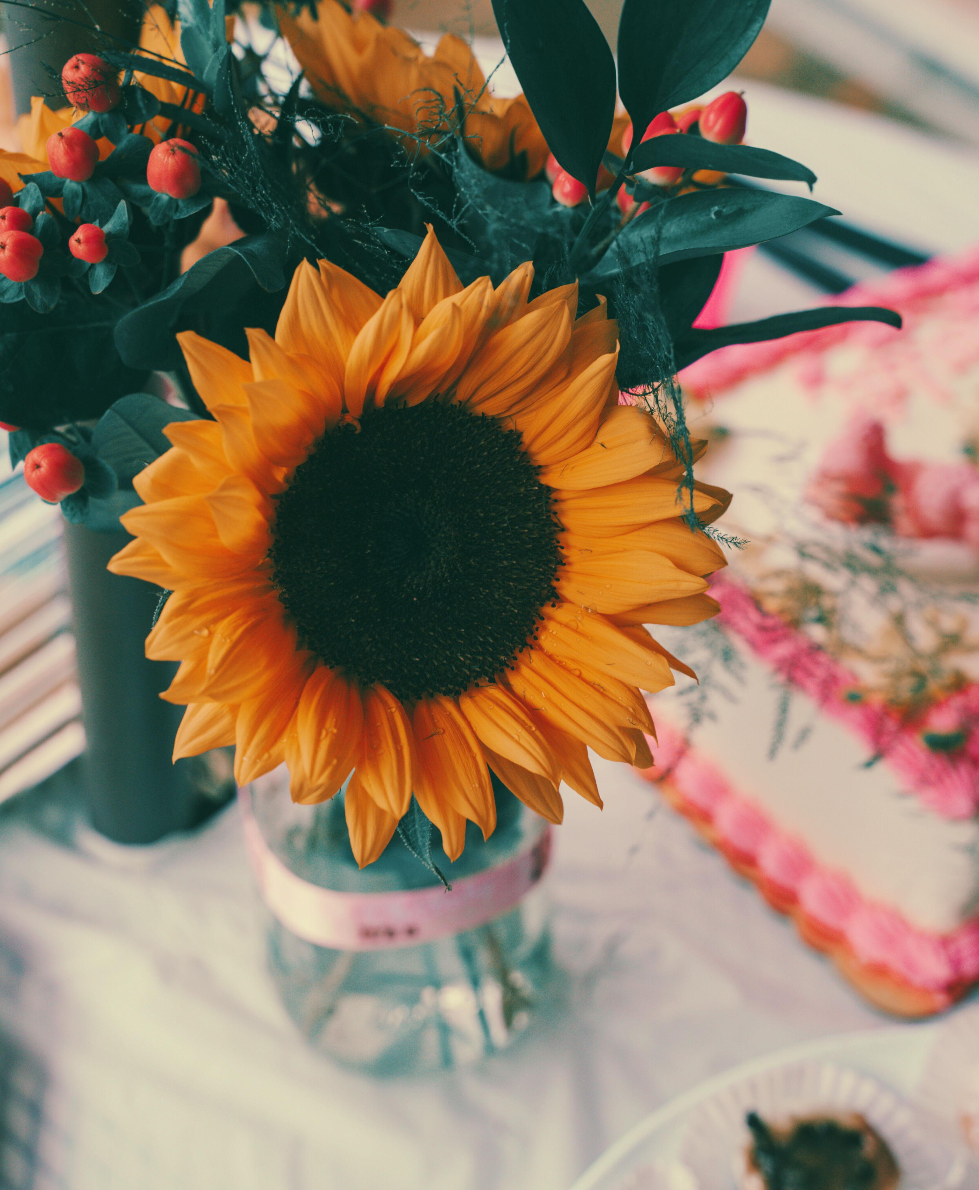 The Wedding Website of Gustavo Sandoval and Megan Ferrante