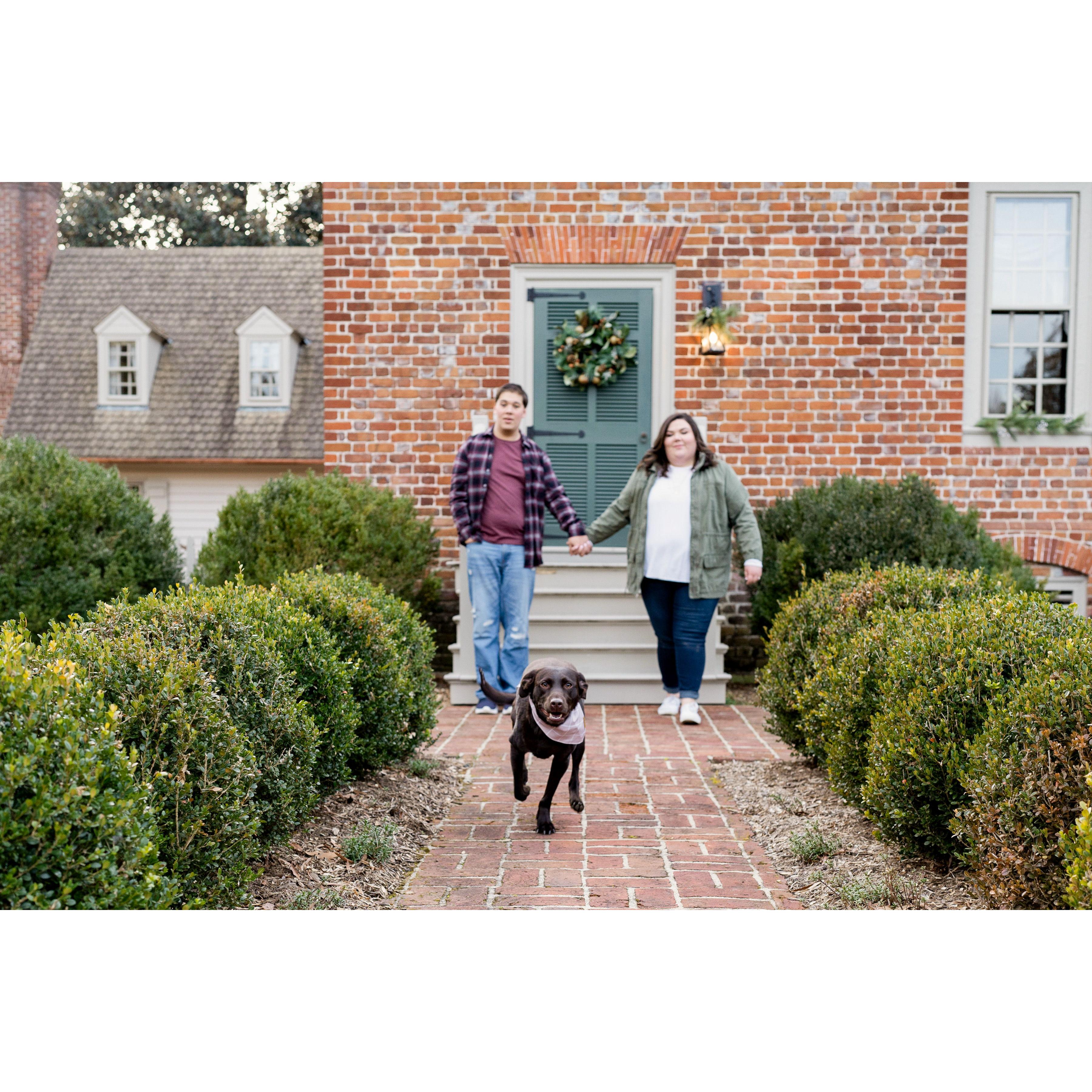 Engagement Photos! 2/18/2024