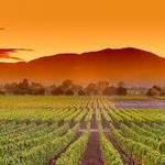 Napa Valley