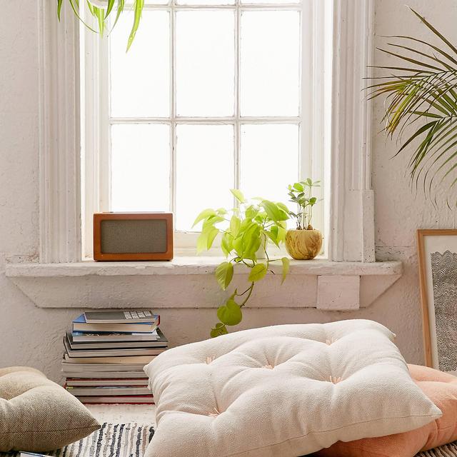Frans Floor Pillow