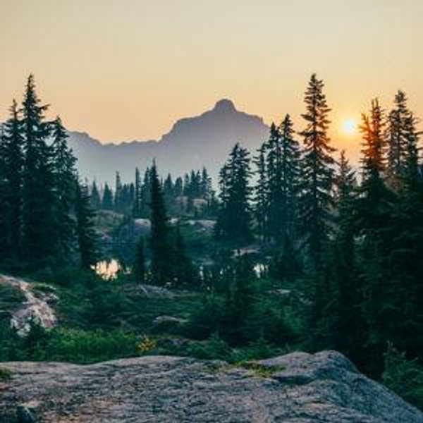 Honeymoon & Home Fund (Venmo)