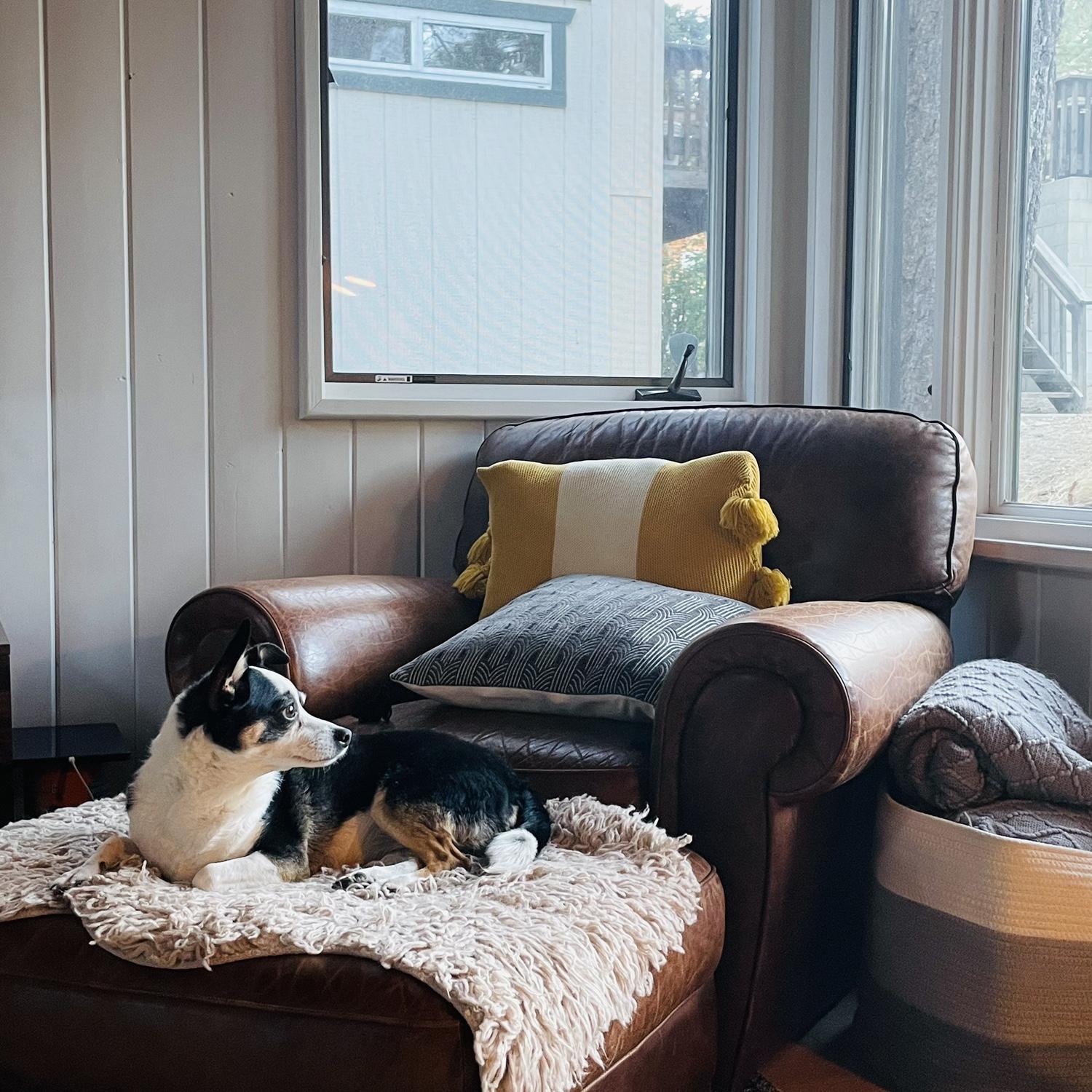 Layla's Vanity Fair cover.