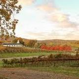 Barboursville Vineyards