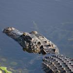 Everglades National Park