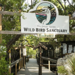 Florida Keys Wild Bird Rehabilitation Center