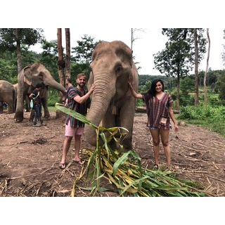 Private Elephant Reserve in Chiang Mai, Thailand