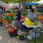 Farmers Market