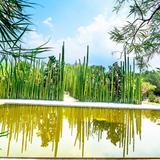 Jardín Etnobotánico de Oaxaca