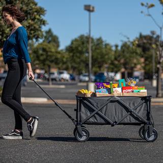 Adventure Wagon Folding Utility Wagon