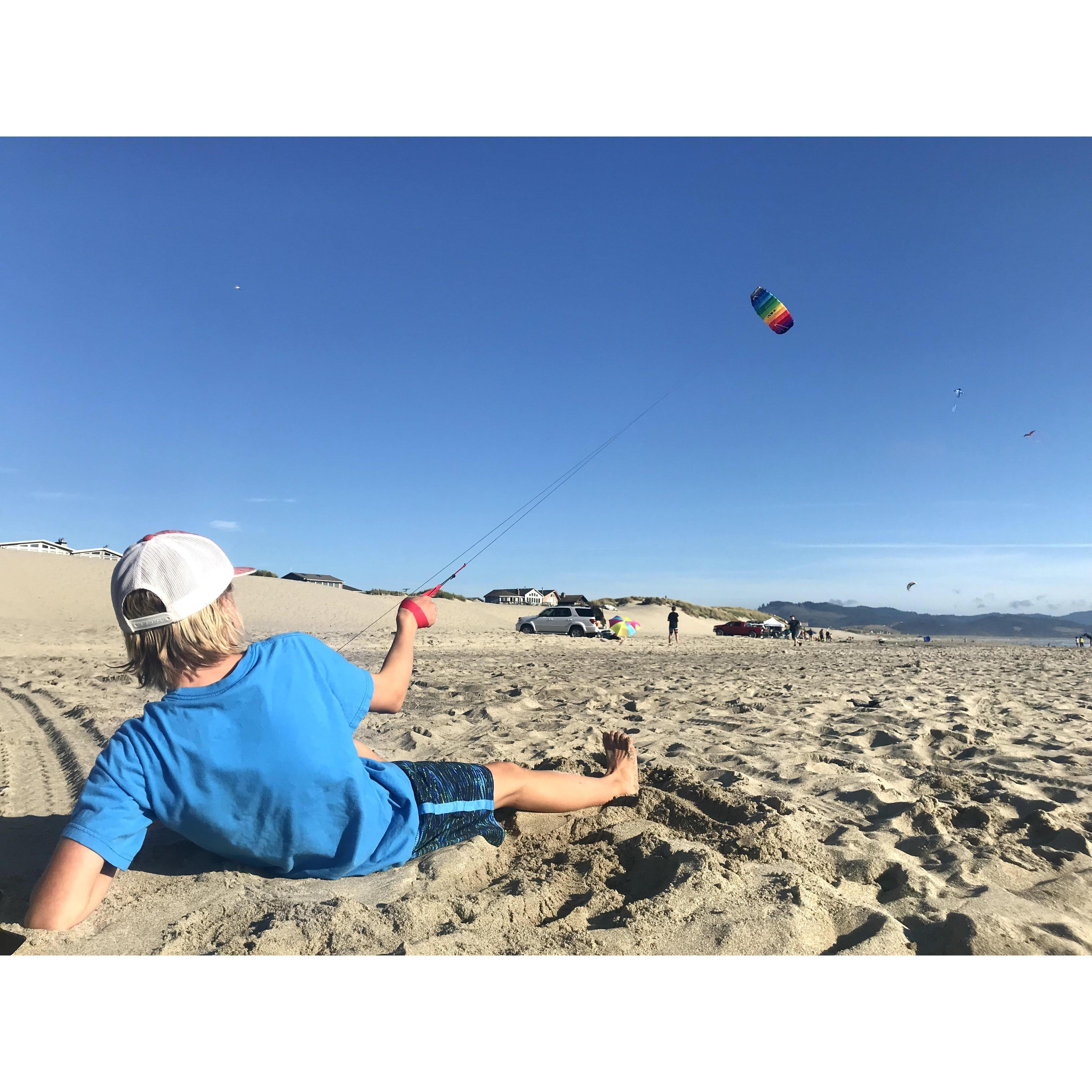 Kites flying high