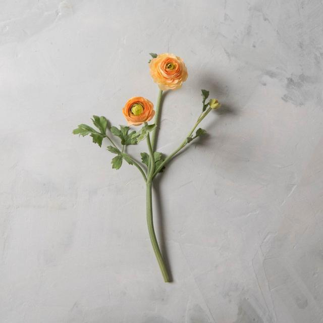 Ranunculus Bud and Bloom Stem