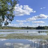 Mendon Ponds Park