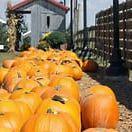 Evans Orchard and Cider Mill