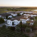 João Portugal Ramos Wines - Vila Santa Vineyard