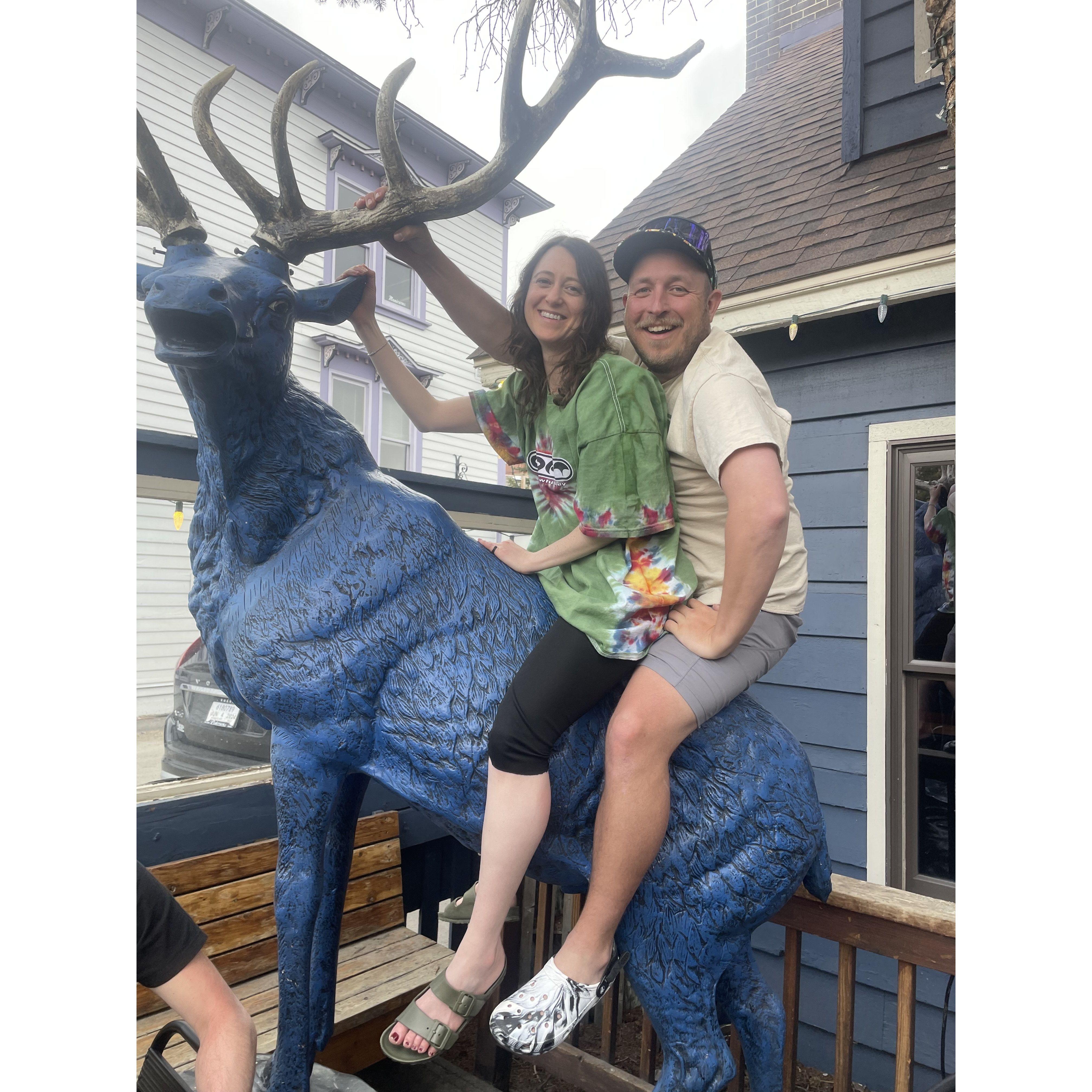thank you blue stag saloon for letting us climb your stag