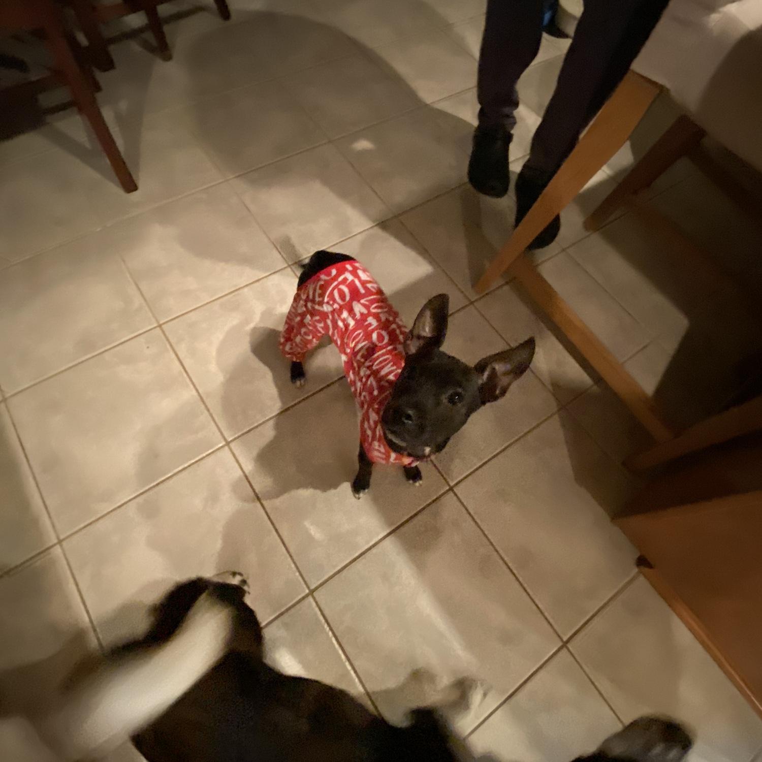 Crazy scout in her pajamas