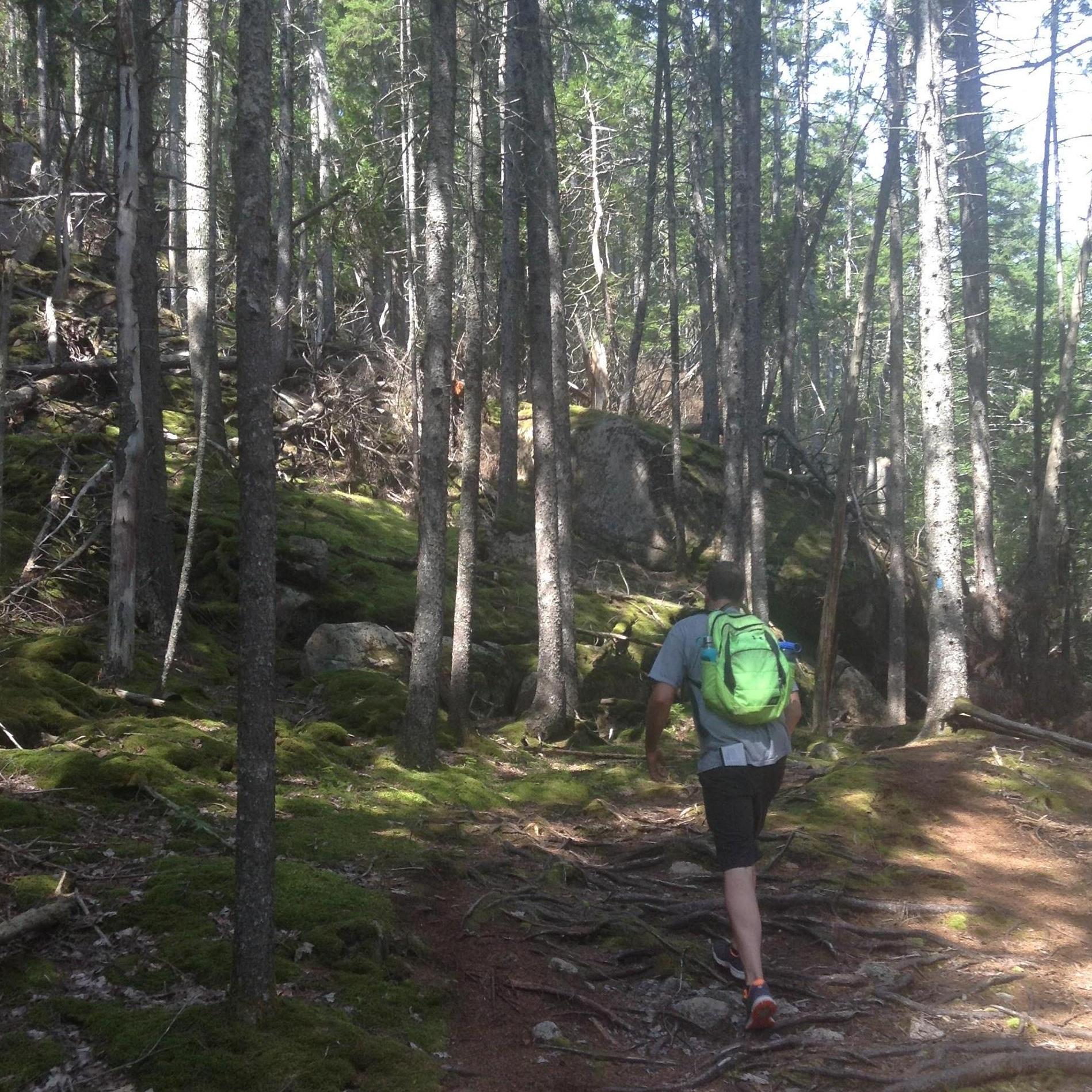 Found out why it was called It “The Goat Trail”
(Acadia National Park)