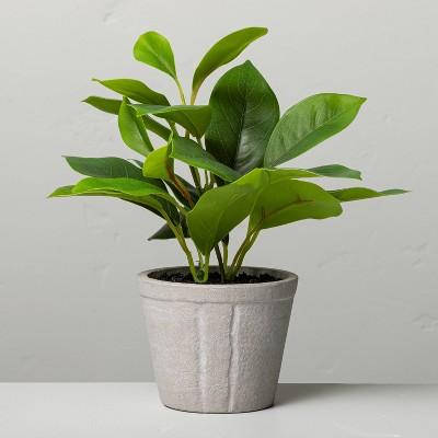 7" Mini Faux Azalea Potted Plant - Hearth & Hand™ with Magnolia