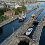 Ballard Locks Fish Ladder