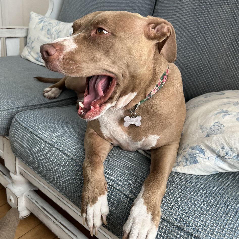 Exhausted from relaxing all day