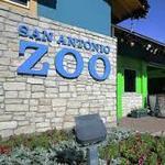 San Antonio Zoo