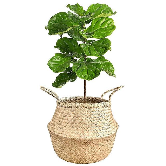 BeeGreeny Seagrass Belly Basket | Handwoven Foldable Storage Basket with Handles for Laundry, Picnic, Pot Cover, Decor | Natural, Eco-Friendly Household Items