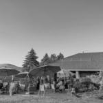 Treveri Cellars