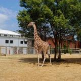 Chattanooga Zoo