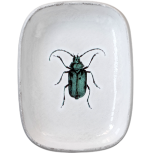 Green Insect Platter