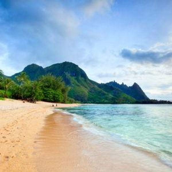 Our Hawaii Honeymoon Fund